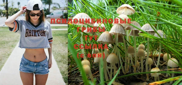 мяу мяу мука Киреевск