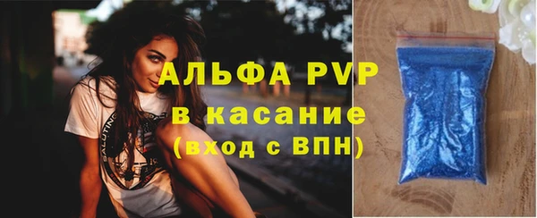 кокс Касимов