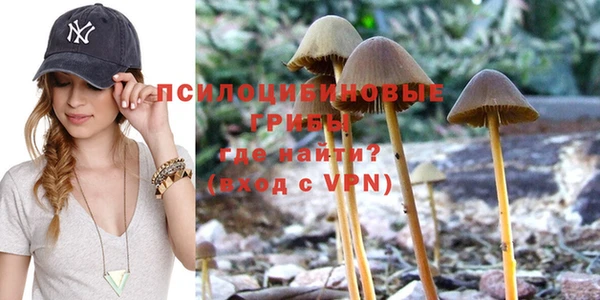 кокс Касимов