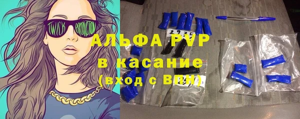 кокс Касимов