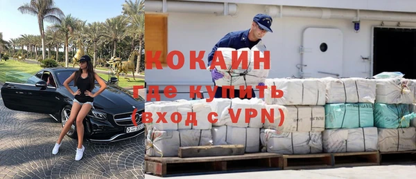 кокс Касимов