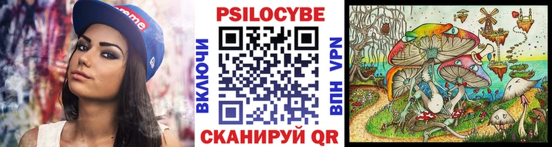 Псилоцибиновые грибы Cubensis  Купить закладки  Боровичи 